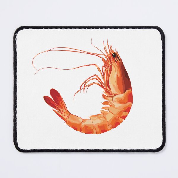 Item preview, Realistic Shrimp Illustration designed and sold by Mihush.