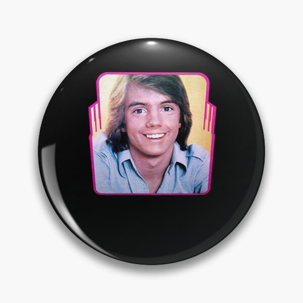 Item preview, Vintage Super Hardy Boys Shaun Cassidy 1976 Rare Promotional designed and sold by SchwalbAbusuf.