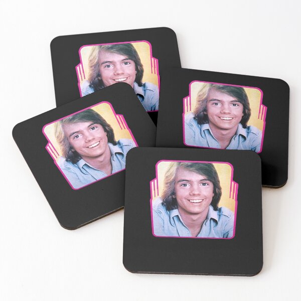 Item preview, Vintage Super Hardy Boys Shaun Cassidy 1976 Rare Promotional designed and sold by SchwalbAbusuf.