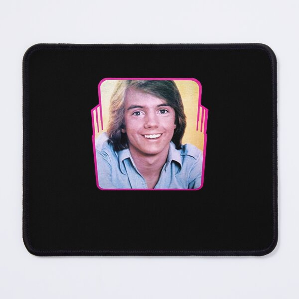 Item preview, Vintage Super Hardy Boys Shaun Cassidy 1976 Rare Promotional designed and sold by SchwalbAbusuf.