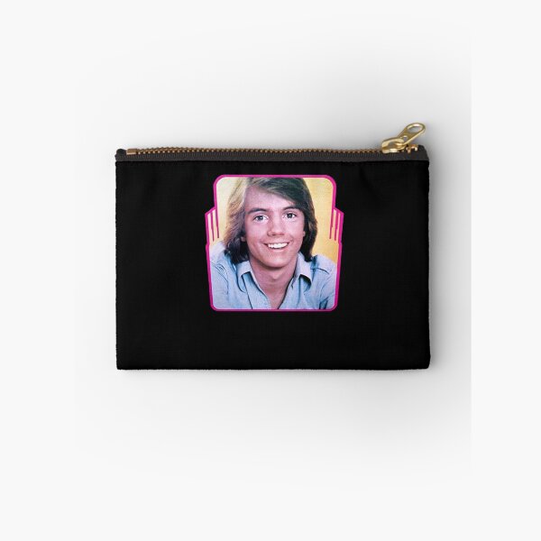 Item preview, Vintage Super Hardy Boys Shaun Cassidy 1976 Rare Promotional designed and sold by SchwalbAbusuf.