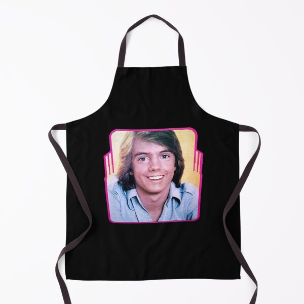 Item preview, Vintage Super Hardy Boys Shaun Cassidy 1976 Rare Promotional designed and sold by SchwalbAbusuf.