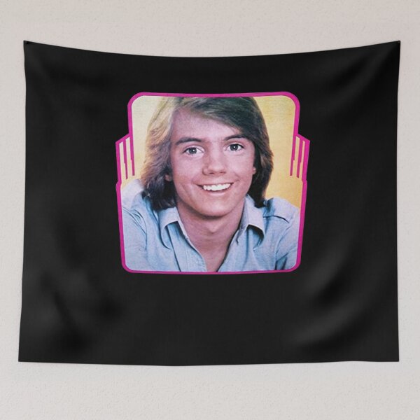 Item preview, Vintage Super Hardy Boys Shaun Cassidy 1976 Rare Promotional designed and sold by SchwalbAbusuf.