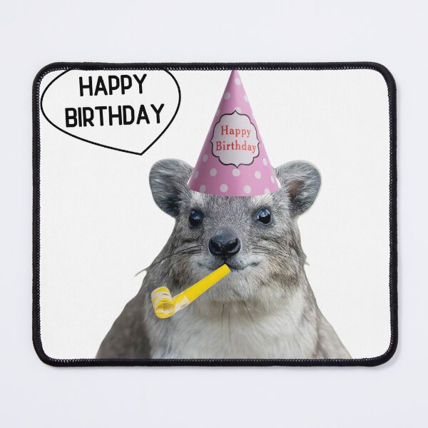 Item preview, Birthday rock hyrax designed and sold by SillyLittleSnek.