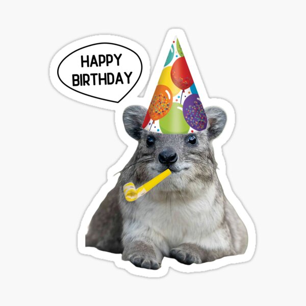 Item preview, Birthday rock hyrax designed and sold by SillyLittleSnek.