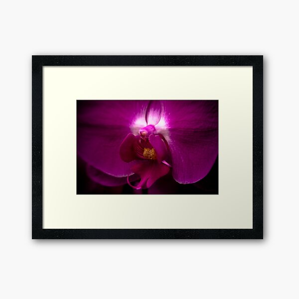 Orchid Face Framed Art Print
