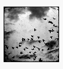 Doomsday (for black) Photographic Print