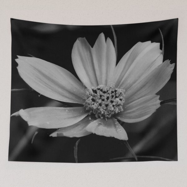 Aperçu de l'œuvre Cosmos noir et blanc créée et vendue par Jmb67.