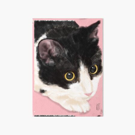Black and White Cat on a Pink Background Art Board Print
