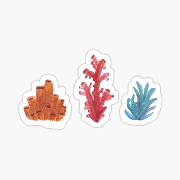 Coral Sticker
