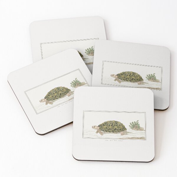 Item preview, Cute Tortoise vintage illustration designed and sold by Vintage Designs +.