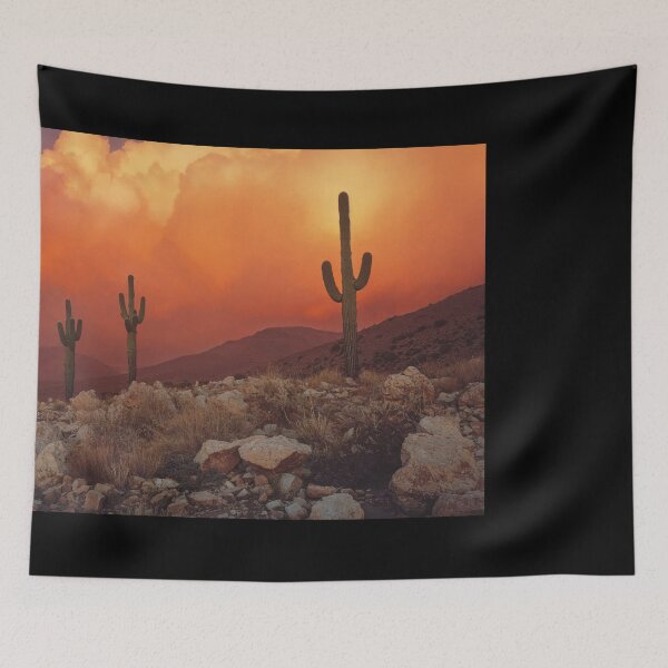 Item preview, Desert Sunset with Cactus Silhouettes - Nature Photography designed and sold by regnumsaturni.