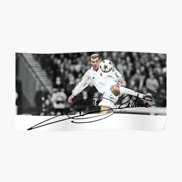 Zidane LEGEND volley goal Poster