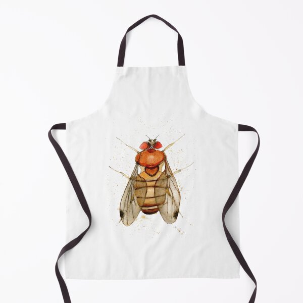 Item preview, Drosophila Melanogaster Fruit Fly Insect Illustration Science Biology designed and sold by kateshephard.