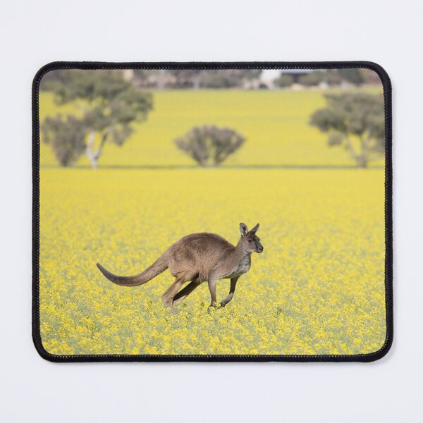 Item preview, Kangaroo in canola field designed and sold by terryhewitt.