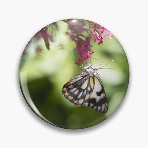 Item preview, Simply Lovely - A Caper White Butterfly in my garden designed and sold by imaginethis.