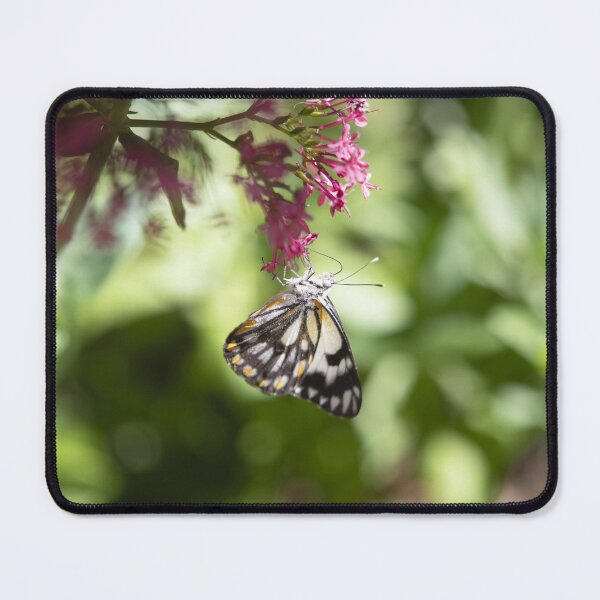 Item preview, Simply Lovely - A Caper White Butterfly in my garden designed and sold by imaginethis.