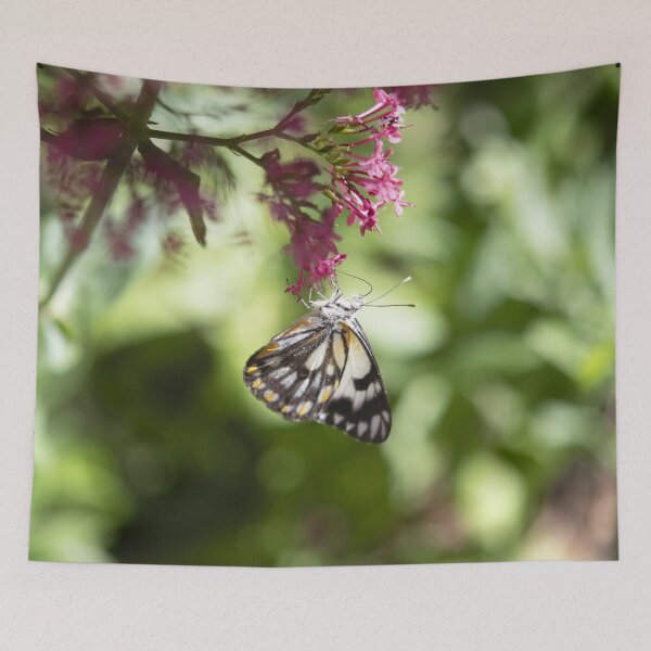 Item preview, Simply Lovely - A Caper White Butterfly in my garden designed and sold by imaginethis.