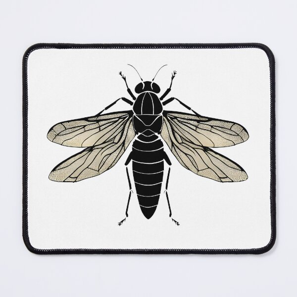 Item preview, Cicada lover Insect collector entomology is my hobby designed and sold by AlchemyColor.