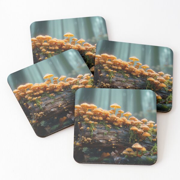 Item preview, Rainforest - Fungi designed and sold by KootenayDesigns.