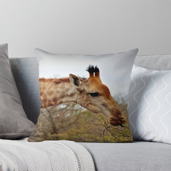 Item preview, Giraffe Zulu Nyala Game Reserve South Africa designed and sold by AndyEvansPhotos.