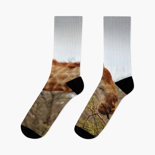 Item preview, Giraffe Zulu Nyala Game Reserve South Africa designed and sold by AndyEvansPhotos.