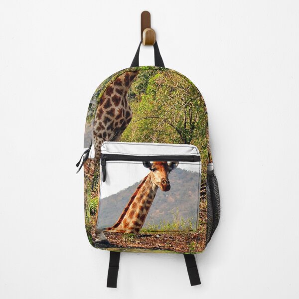 Item preview, Giraffe Zulu Nyala Game Reserve South Africa designed and sold by AndyEvansPhotos.