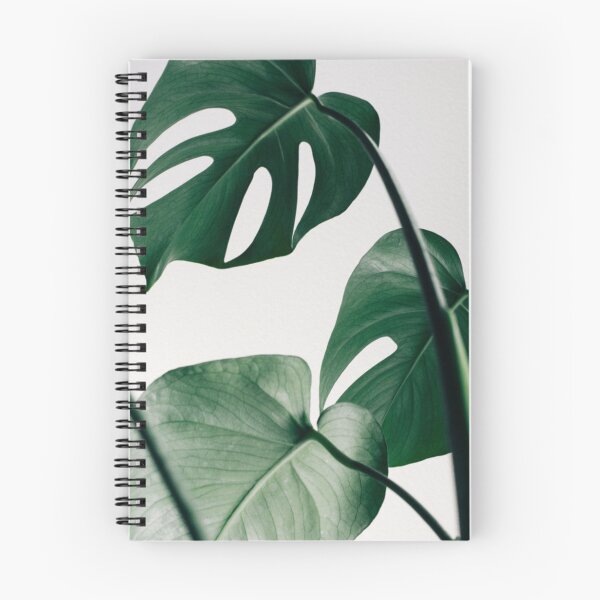Item preview, Monstera Plant designed and sold by BlueSpecsStudio.