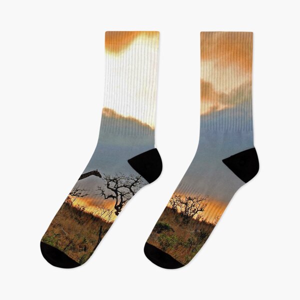 Item preview, Giraffe Zulu Nyala Game Reserve South Africa designed and sold by AndyEvansPhotos.