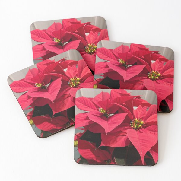 Item preview, Foto de flor de Pascua navideña designed and sold by shaldesign.