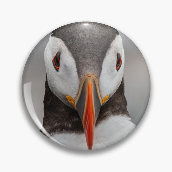 Item preview, Contemplative Puffin designed and sold by Julie Wilkinson.