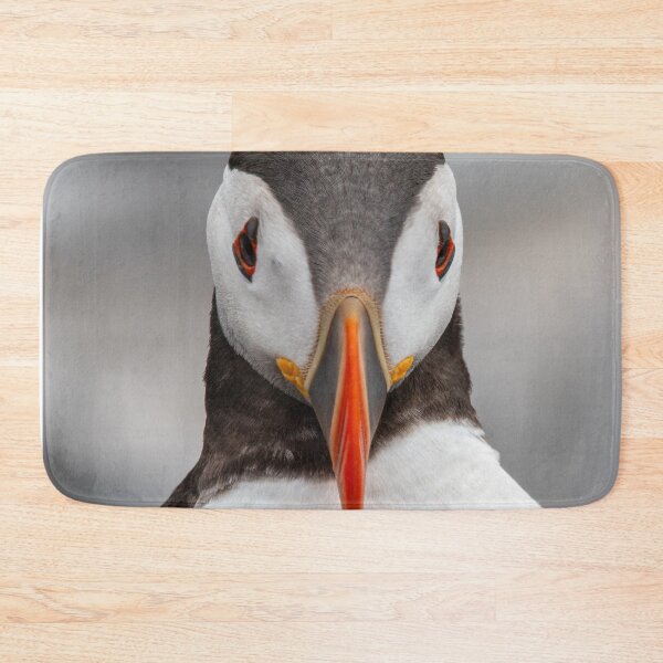 Item preview, Contemplative Puffin designed and sold by Julie Wilkinson.