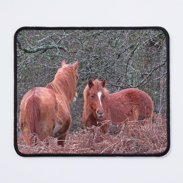 Item preview, New Forest Ponies designed and sold by RedHillDigital.
