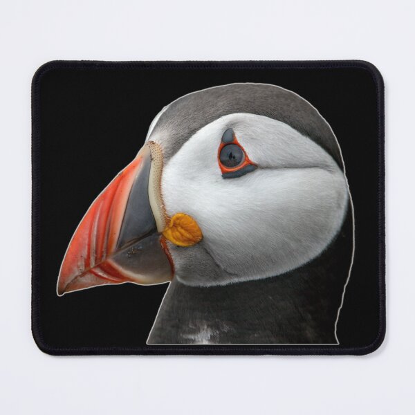 Item preview, Perfect Puffin Portrait designed and sold by Julie Wilkinson.