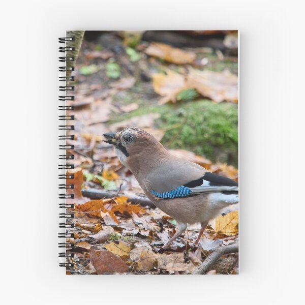 Item preview, These nuts are all mine. Eurasian jay designed and sold by Jouko Lehto Photography.