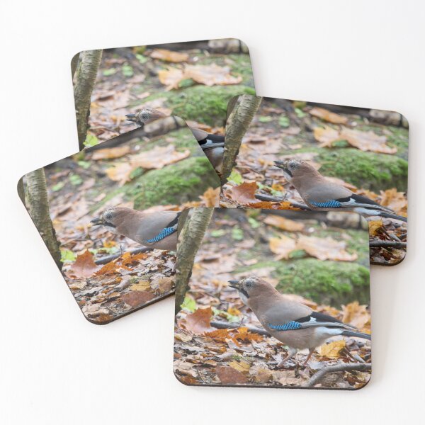 Item preview, These nuts are all mine. Eurasian jay designed and sold by Jouko Lehto Photography.