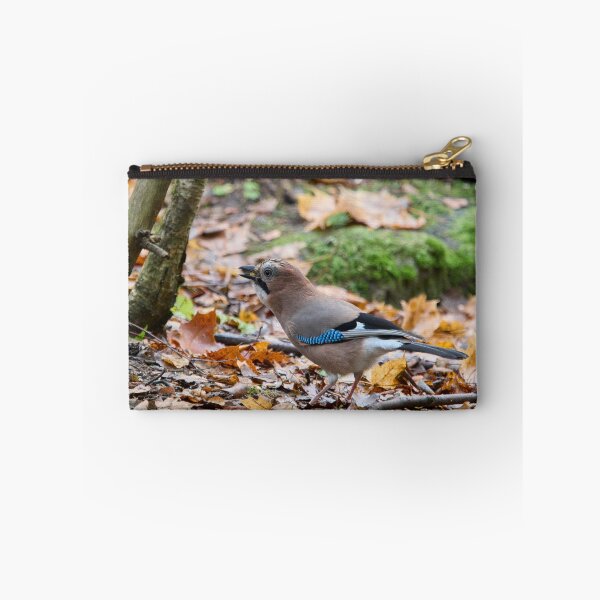 Item preview, These nuts are all mine. Eurasian jay designed and sold by Jouko Lehto Photography.