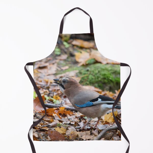 Item preview, These nuts are all mine. Eurasian jay designed and sold by Jouko Lehto Photography.