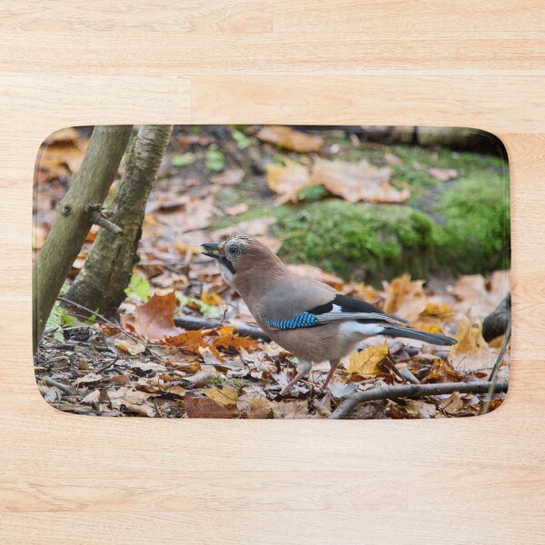 Item preview, These nuts are all mine. Eurasian jay designed and sold by Jouko Lehto Photography.