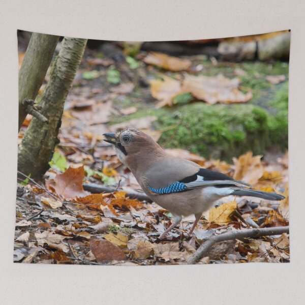 Item preview, These nuts are all mine. Eurasian jay designed and sold by Jouko Lehto Photography.