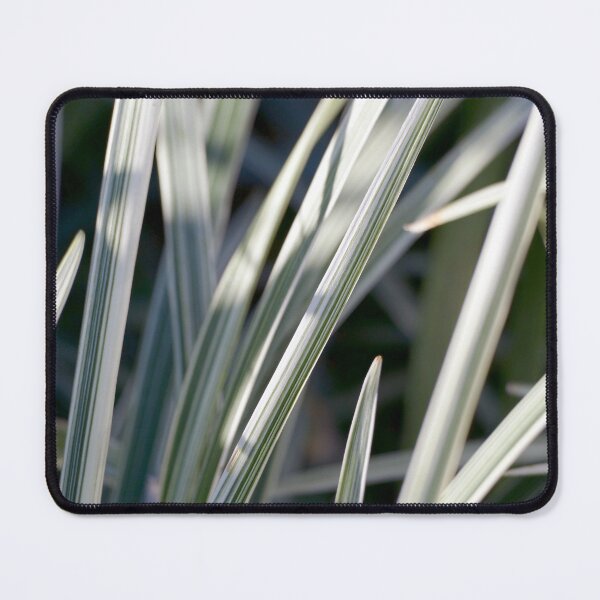 Item preview, Hamptons beach house style decor images designed and sold by jaynerushton.