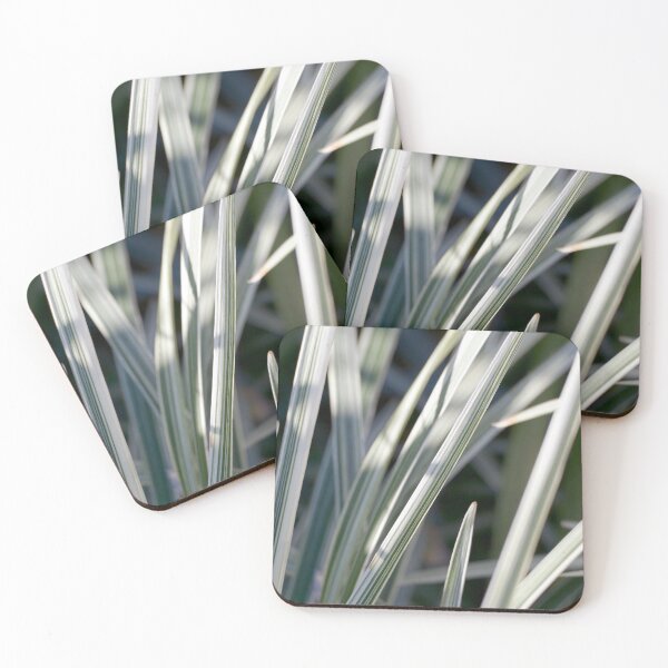 Item preview, Hamptons beach house style decor images designed and sold by jaynerushton.