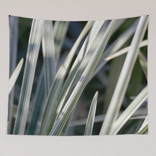 Item preview, Hamptons beach house style decor images designed and sold by jaynerushton.