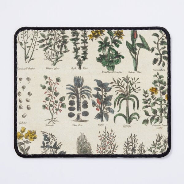 Item preview, Herbal Chart designed and sold by BlueSpecsStudio.