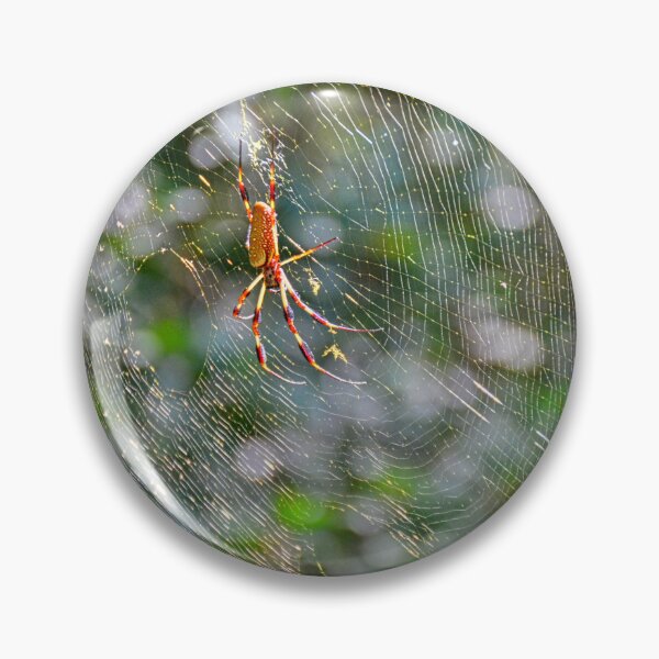 Item preview, Golden Orb-Weavers And Spiderweb  designed and sold by LisaWootenPhoto.