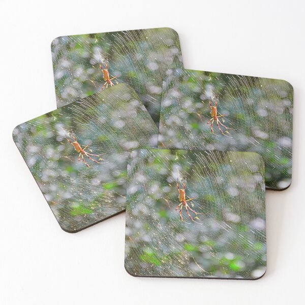 Item preview, Golden Orb-Weavers And Spiderweb  designed and sold by LisaWootenPhoto.