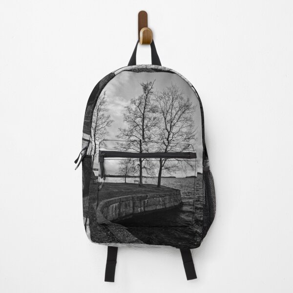 Item preview, By the lake. Late November at Arboretum bw designed and sold by Jouko Lehto Photography.