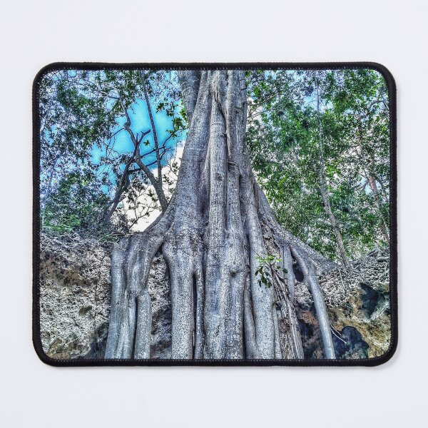 Item preview, Tree and cave designed and sold by Larrysphotos.