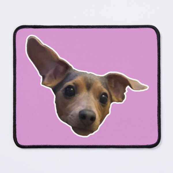 Item preview, Dachshund dog closeup designed and sold by LeahNicoler.