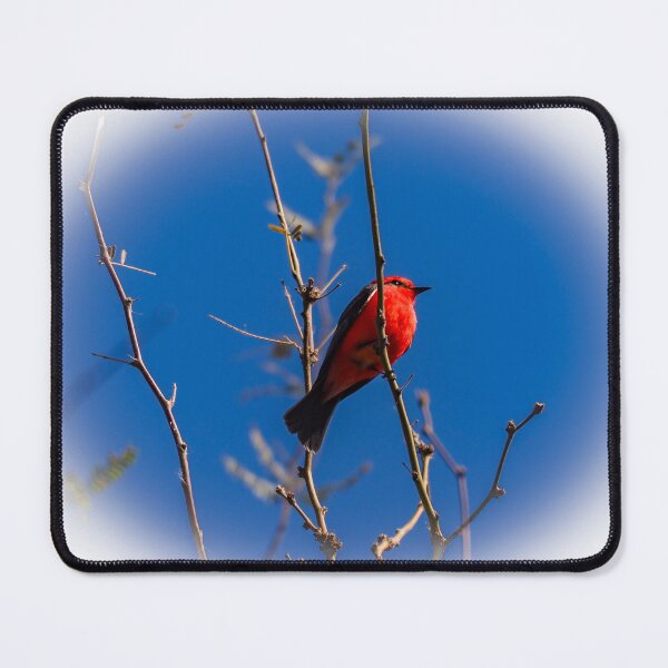 Item preview, Scarlet Tanager designed and sold by Alla Gill.